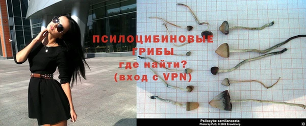 spice Белоозёрский